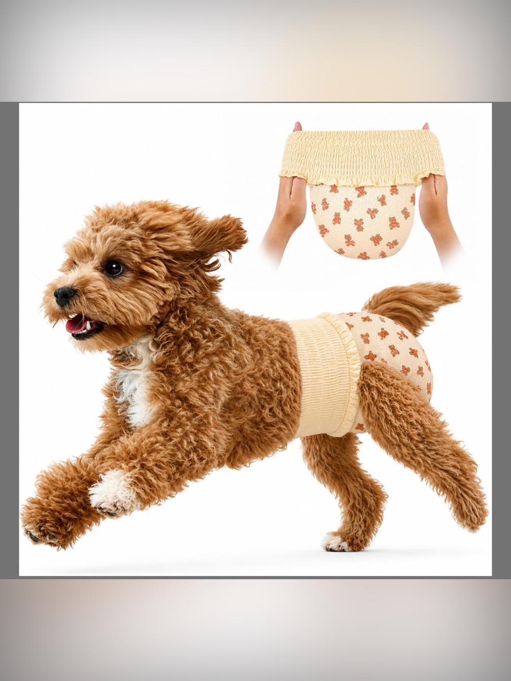 Dog Diaper
